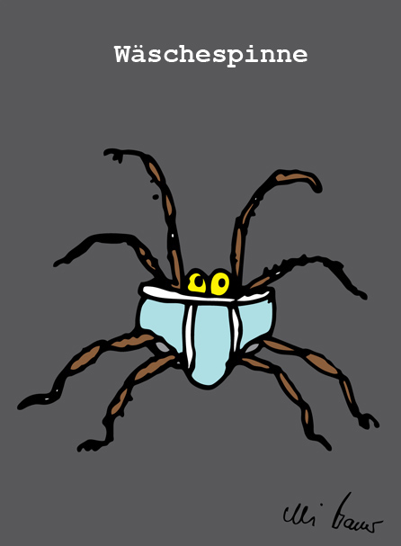 spinne